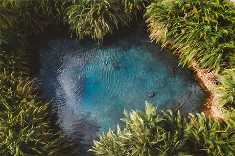kikuletwa