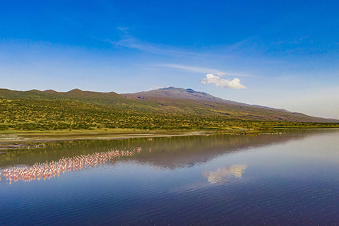 Lake Natron